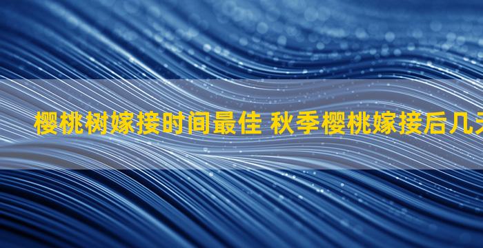 樱桃树嫁接时间最佳 秋季樱桃嫁接后几天可以浇水